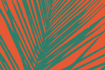 Moby, Autechre, D.K., Autechre